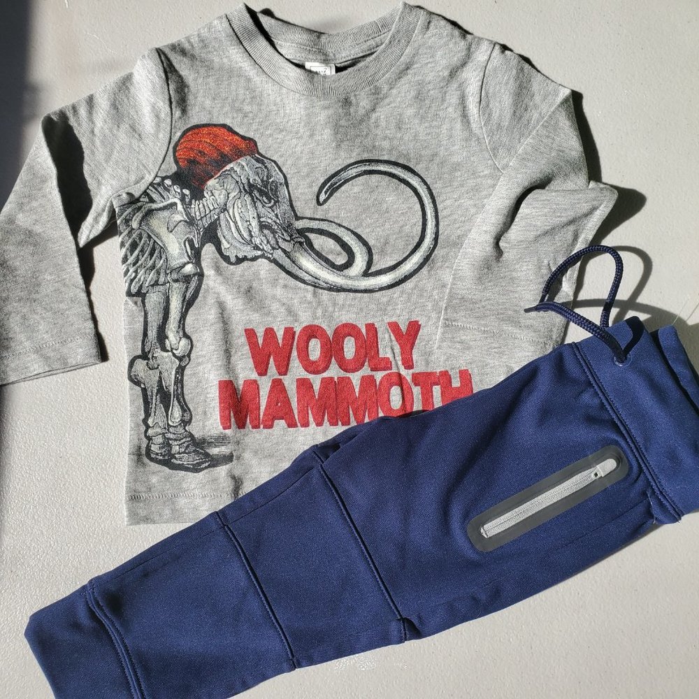 Gap boys 18-24 Months Dinosaur Long Sleeve Top w/ Track Pants NEW